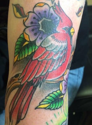 Traditional red cardinal perched among purple blossoms